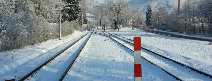 Železniční zastávka Loučná nad Desnou-Rejhotice is one of Železnice Desná.