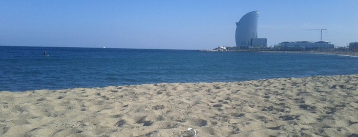 Platja de la Barceloneta is one of Barcelona.