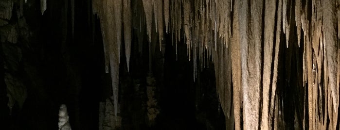 Hastings Caves is one of To do in Tasmania.