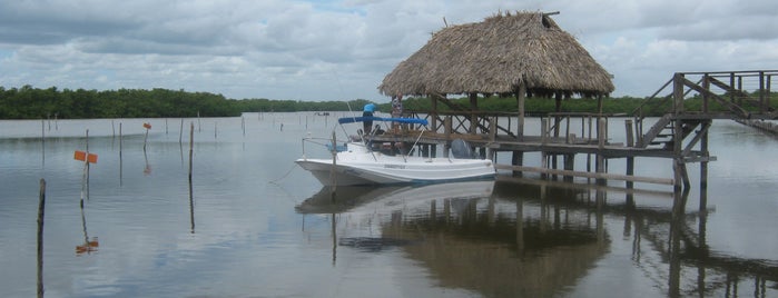 Mejores Sitios Turísticos de Yucatán