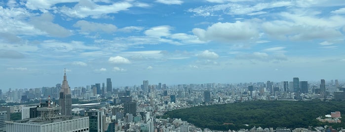Observatories, Tokyo Metropolitan Government Building is one of Tokyo.