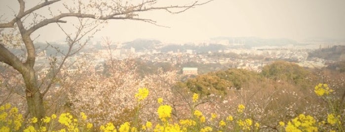 衣笠山公園 is one of 横浜周辺のハイキングコース.