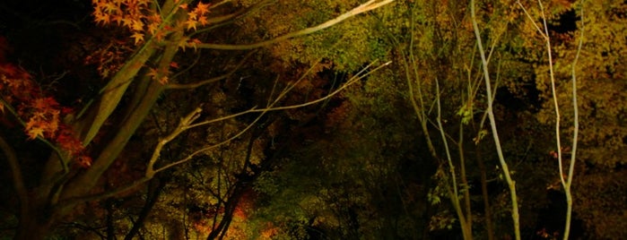 大磯城山公園 is one of 横浜周辺のハイキングコース.
