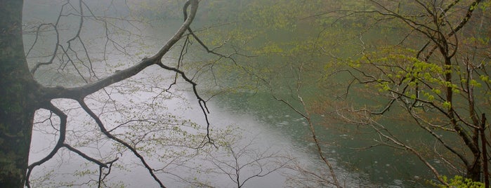 白神山地 is one of Aomori/青森.