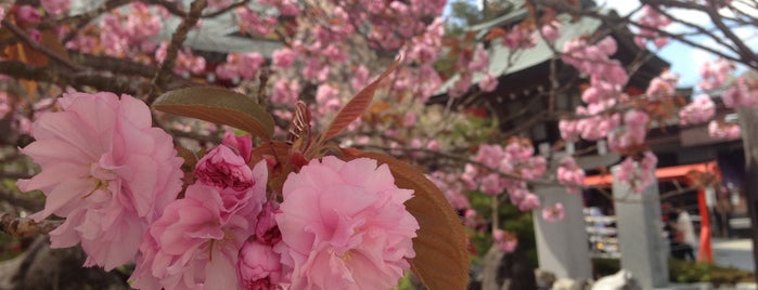 Miyagiken Gokoku Shrine is one of 寺社仏閣.