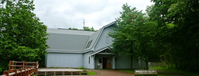 温根内ビジターセンター is one of Hokkaido for driving.