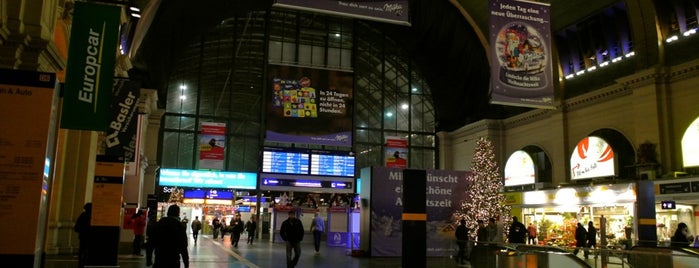 Frankfurt (Main) Hauptbahnhof is one of train stations.