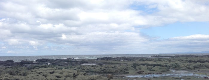 千畳敷海岸 is one of Aomori/青森.