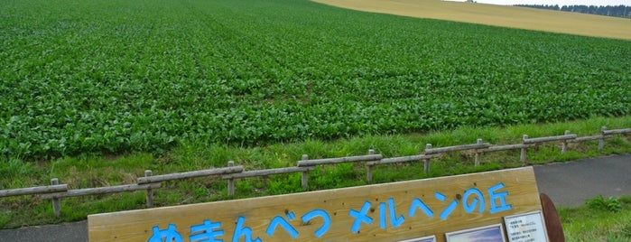 メルヘンの丘 is one of Hokkaido for driving.