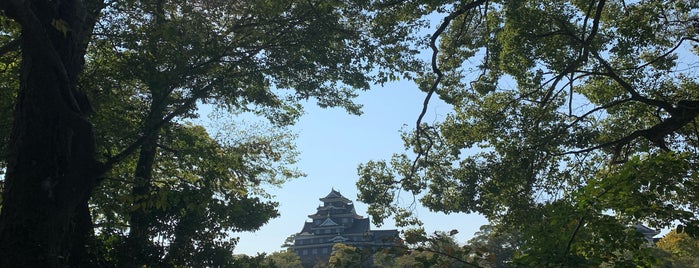 Okayama Korakuen Garden is one of Shonan cafés.