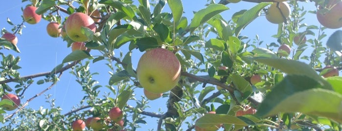 アップルロード is one of Aomori/青森.