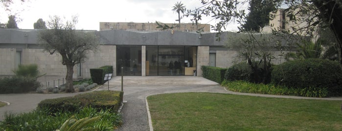 Musée Marc Chagall is one of art museums.