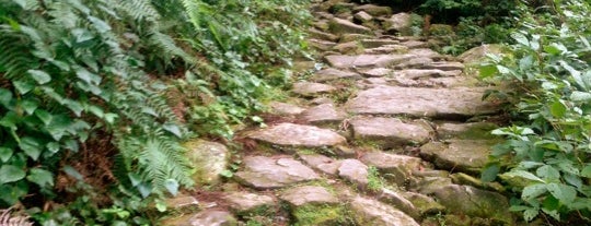 熊野古道 馬越峠 登り口 is one of world heritage sites/世界遺産.