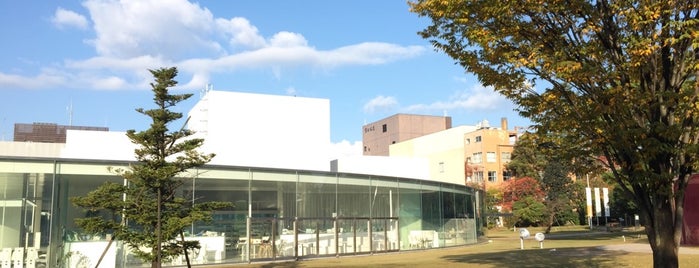 21st Century Museum of Contemporary Art, Kanazawa is one of art museums.