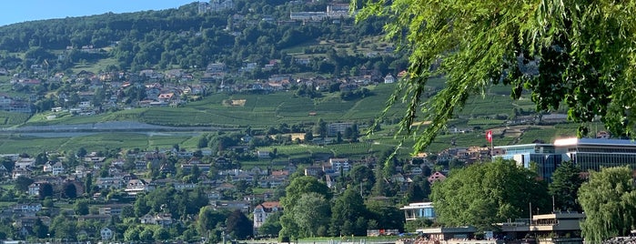 Quai Perdonnet is one of Vevey 🇨🇭.