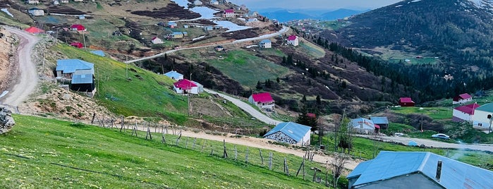 Sisdağı Yaylası is one of Giresun Blog öneriyor.