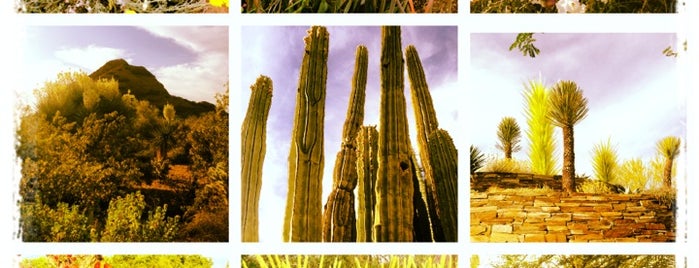 Desert Botanical Garden is one of AZ 1-2020.