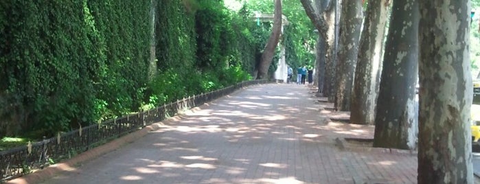 Dolmabahçe Caddesi is one of İstanbul'un "olmazsa olmaz" yerleri.