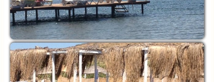 Bıyıklı Plajı is one of สถานที่ที่ Can ถูกใจ.