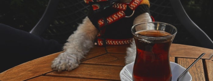 Agola Coffee is one of Places You Can Go With Your Dog in Istanbul.