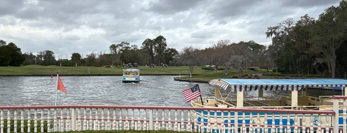 Disney's Lake Buena Vista Golf Course is one of Orlando Golf course.