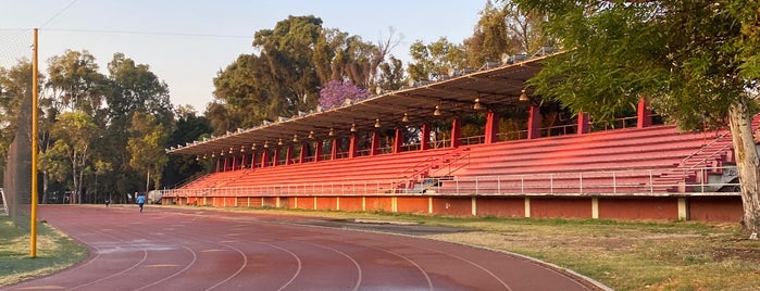 Pista de Atletismo Deportivo Reynosa is one of Come and Run.