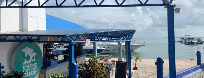 Marina Aquatours is one of Cancún para brasileiros.