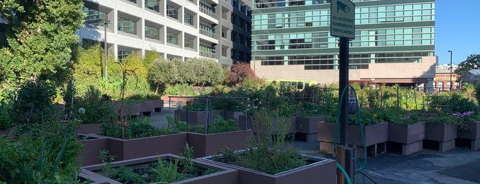 Alice Street Community Gardens is one of TO-DO, TO-DROP.