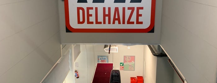 Delhaize is one of Inkopen.