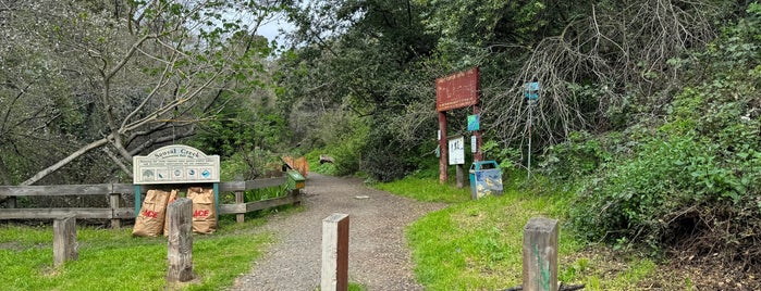 Sausal Creek Trail is one of Bay Area Hiking Trails.