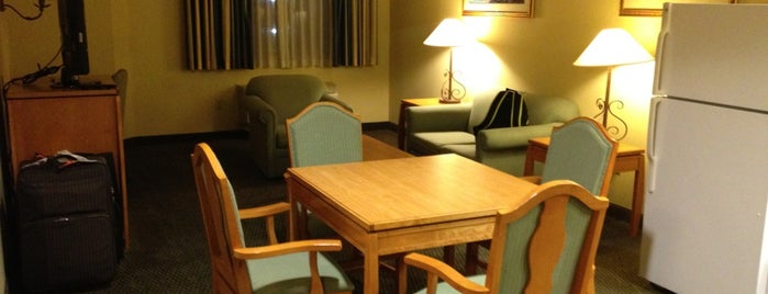 Comfort Suites is one of Cheap San Jose Hotels.