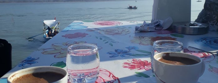 Bursa piknik yesil