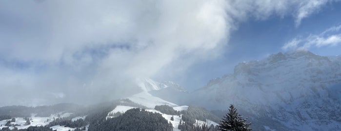 Skigebiet Adelboden is one of Courchevel.