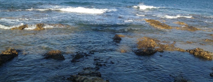 Sunrise Beach is one of Richard : понравившиеся места.