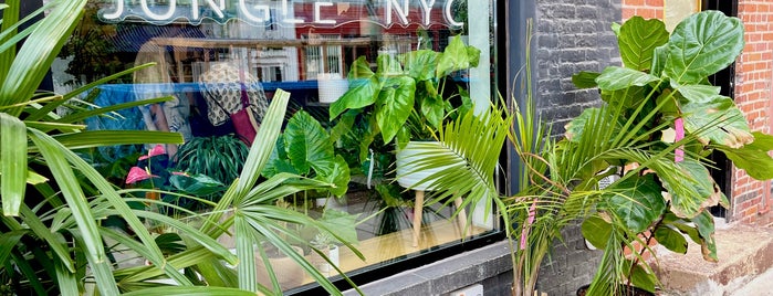 Jungle Nyc is one of NYC BK WilmsBrg.