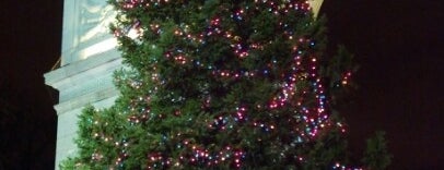 Washington Square Park Christmas Tree is one of New York.