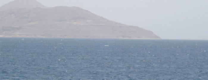 Tiran Island is one of Sharm el Sheikh excursions, safaris, entertainment.