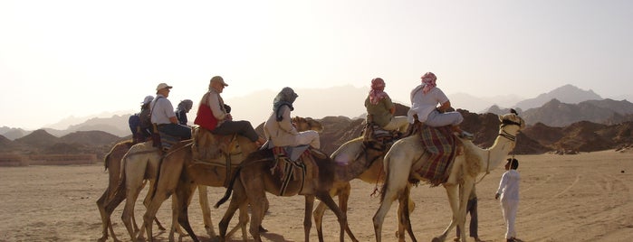 Bedouin Tent is one of Sharm el Sheikh excursions, safaris, entertainment.