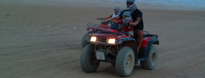 Quad is one of Sharm el Sheikh excursions, safaris, entertainment.