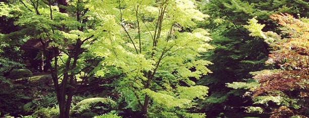 Tatton Park Japanese Garden is one of Tristan'ın Beğendiği Mekanlar.