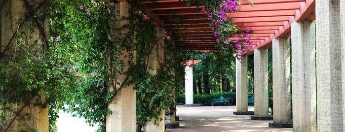 Parque México is one of Mexico City Bangers.