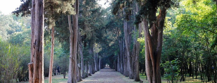 Viveros de Coyoacán is one of CDMX Approved.