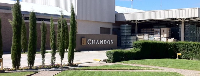 Bodegas Chandon is one of Mendoza: Bodegas y Viñedos.