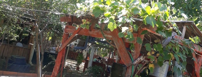 Antik Çimen Kahvaltı Bahçesi is one of Kevser 님이 좋아한 장소.