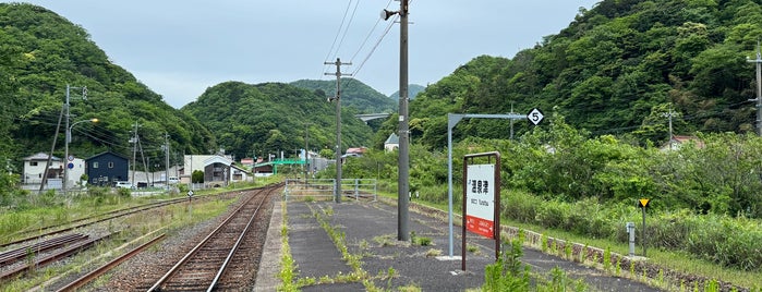 Yunotsu Station is one of 特急スーパーおき停車駅.