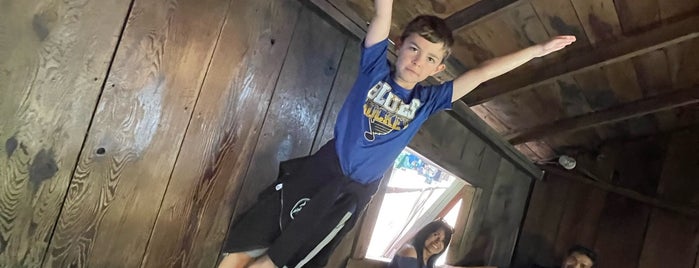 Mystery Spot is one of For the Out-of-Towners.
