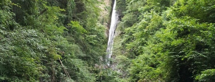 Shasui Falls is one of Waterfalls in Japan.