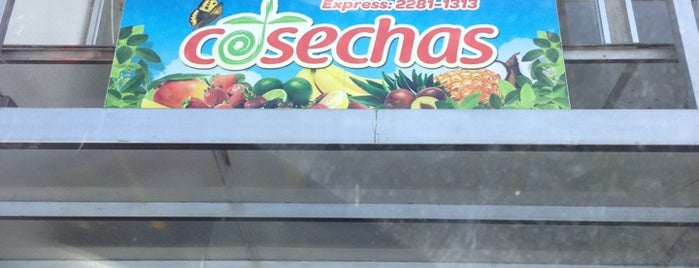 Cosechas is one of Mis Lugares.