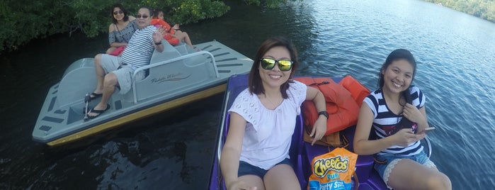 Belmont State Park Paddle Boats is one of Posti che sono piaciuti a Novi.