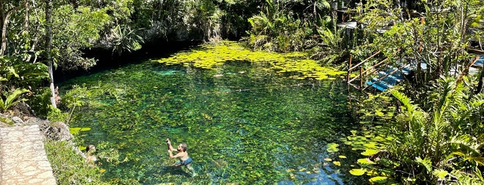 Cenote Nicte-Ha is one of MEX.